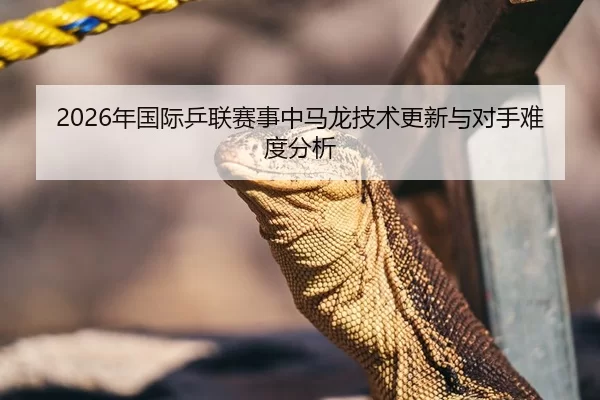 2026年国际乒联赛事中马龙技术更新与对手难度分析