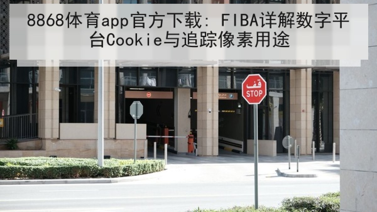 8868体育app官方下载: FIBA详解数字平台Cookie与追踪像素用途