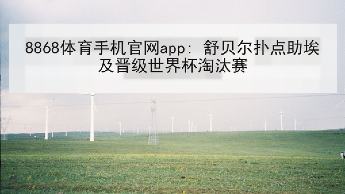 8868体育手机官网app: 舒贝尔扑点助埃及晋级世界杯淘汰赛