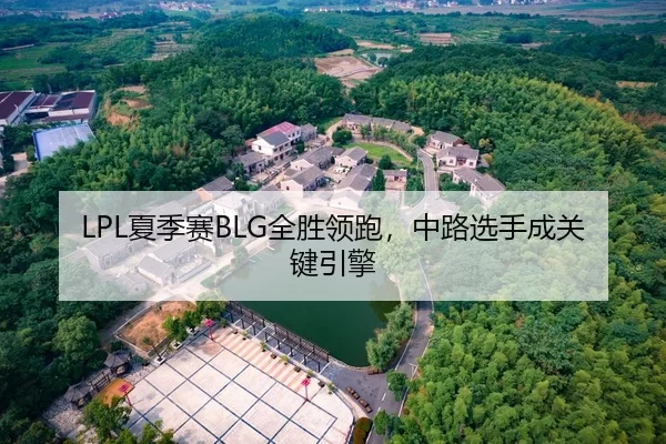 LPL夏季赛BLG全胜领跑，中路选手成关键引擎